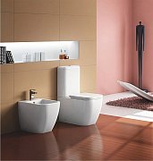 Чаша напольного унитаза BelBagno Alpina BB10100CP